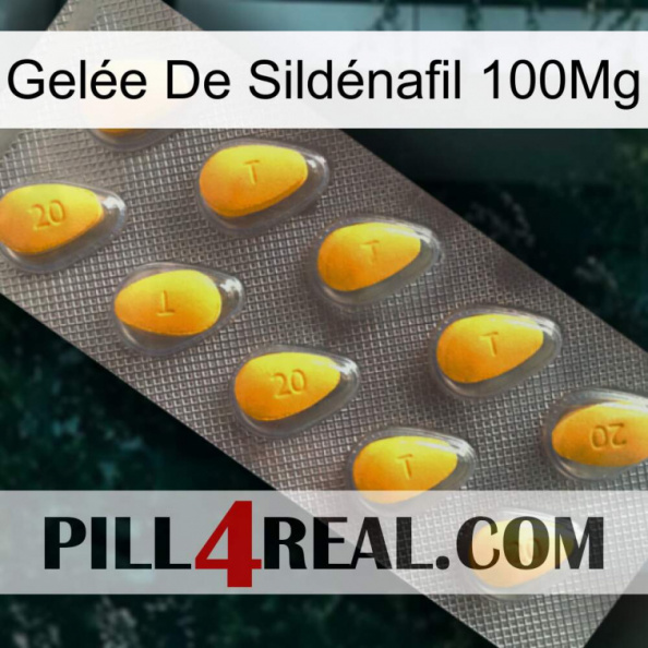Gelée De Sildénafil 100Mg cialis1.jpg